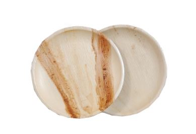 The Future of Sustainable Living: Areca Palm Leaf Innovations
